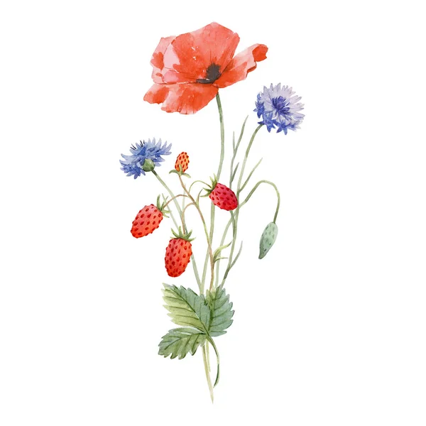 Hermoso conjunto floral con acuarela dibujada a mano suaves flores de amapola. Ilustración de existencias. — Foto de Stock