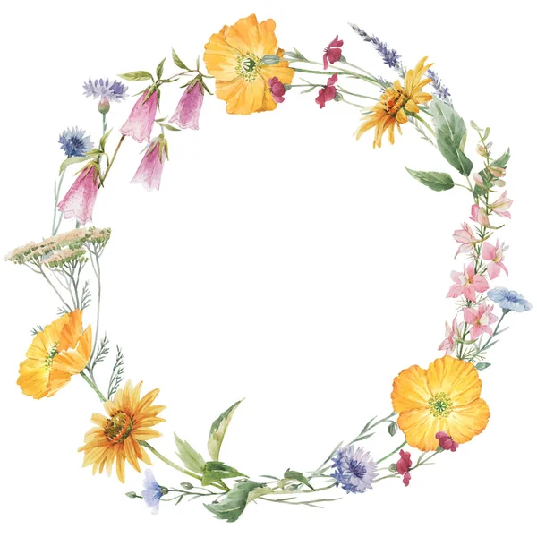 Mooie voorraad illustratie met de hand getrokken aquarel zachte bloemen krans. — Stockfoto