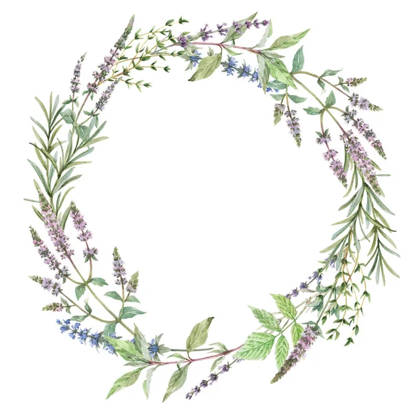Beautiful stock illustration with hand drawn watercolor gentle floral wreath. — Stock Photo, Image