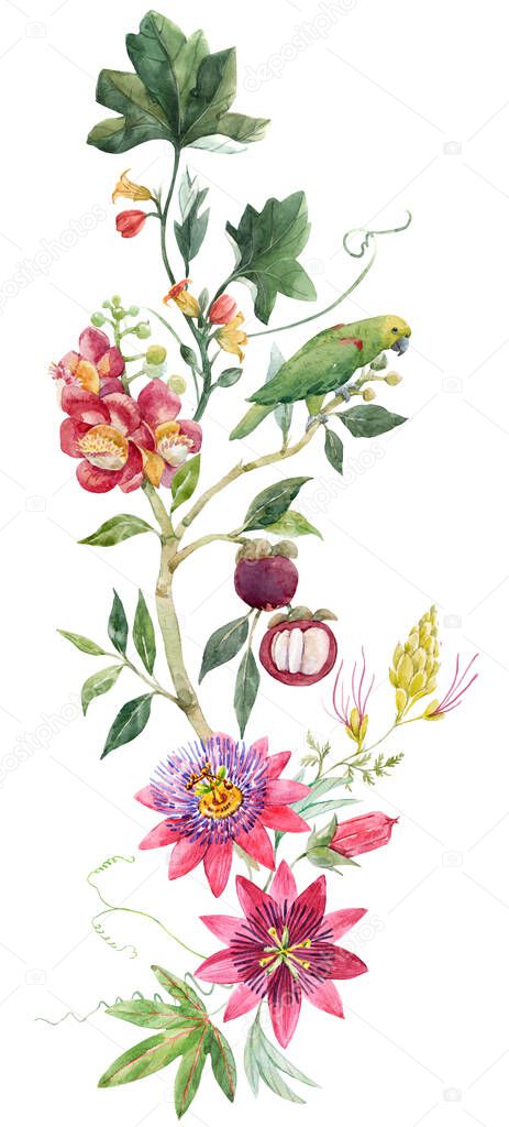 Beautiful tropical floral composition with hand drawn watercolor exotic jungle flowers. Stock illustration. Clip art.