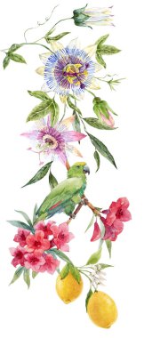 Güzel tropikal çiçek kompozisyonu, elle çizilmiş suluboya orman çiçekleri. Stok çizimi. Klip sanatı.