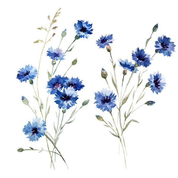 Blue flowers 8