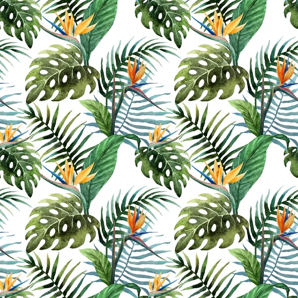 Motif tropical2 — Image vectorielle