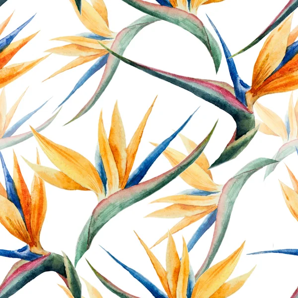 Muster, Aquarell, Blume — Stockfoto