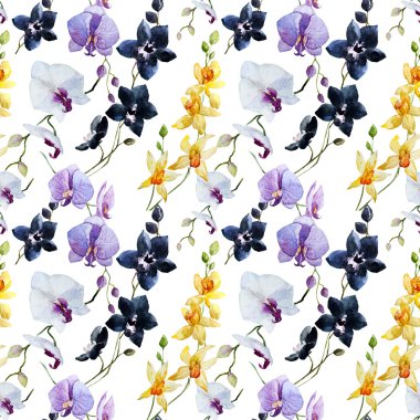 Suluboya orkide desen