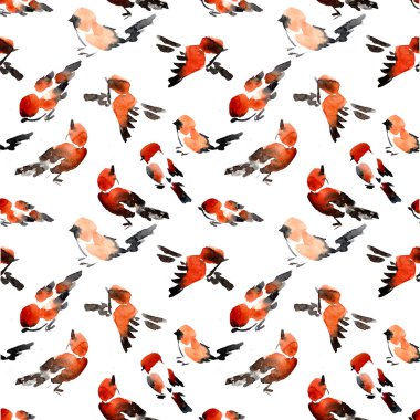 Kuşlar suluboya desen