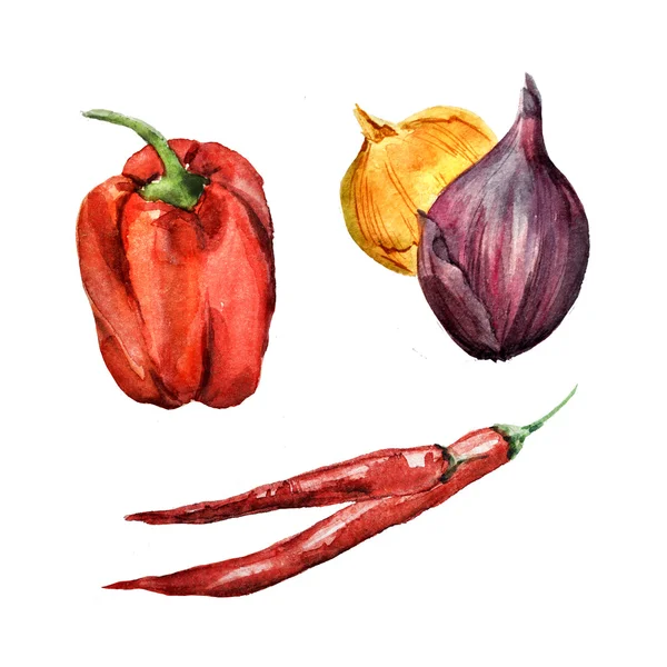 Dessin aquarelle de légumes — Photo