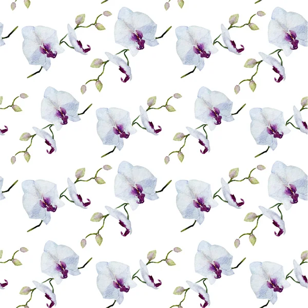 White Watercolor  orchid pattern — Stock Photo, Image