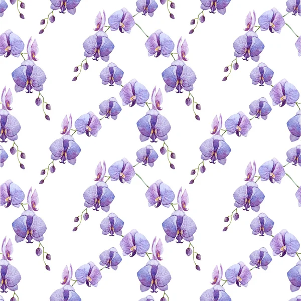 紫色的水彩画兰花图案 — 图库照片