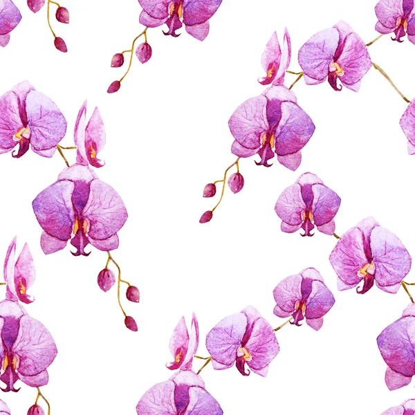 Růžový vzor akvarel orchidejí — Stock fotografie