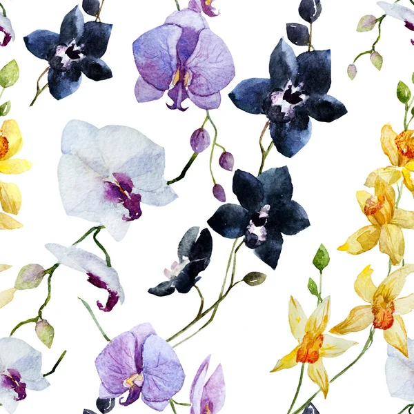 Aquarell-Orchideenmuster — Stockfoto