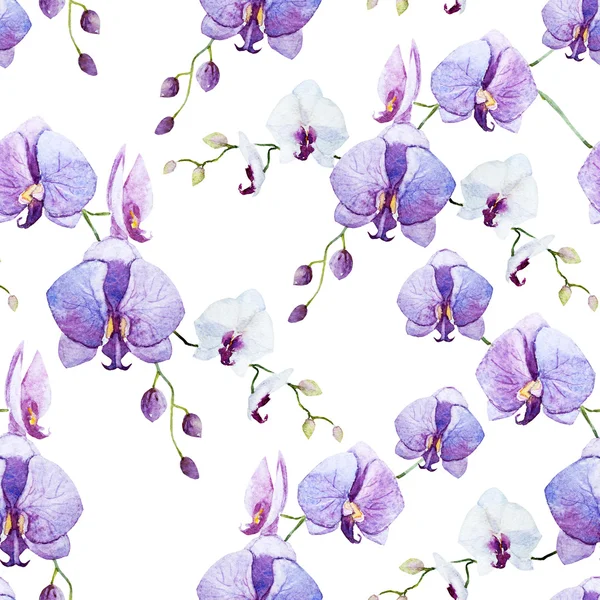 Purple  Watercolor  orchid pattern — Stock Photo, Image