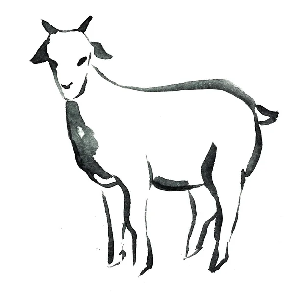 Goat watercolor zodiac symbol — Stock Photo, Image