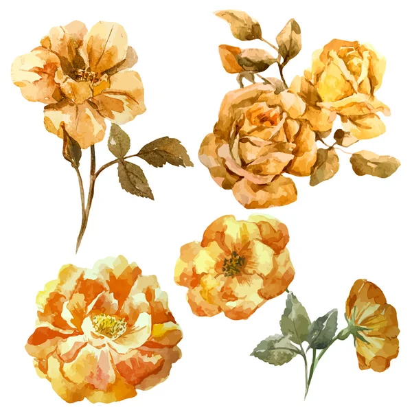 Suluboya gül deseni