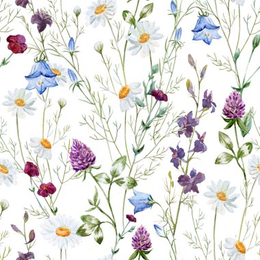 Suluboya papatya, yonca, çan, arka plan