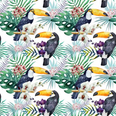 Suluboya toucan desen