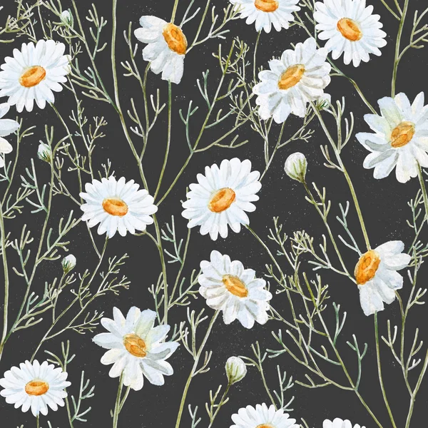 Suluboya papatya arka plan