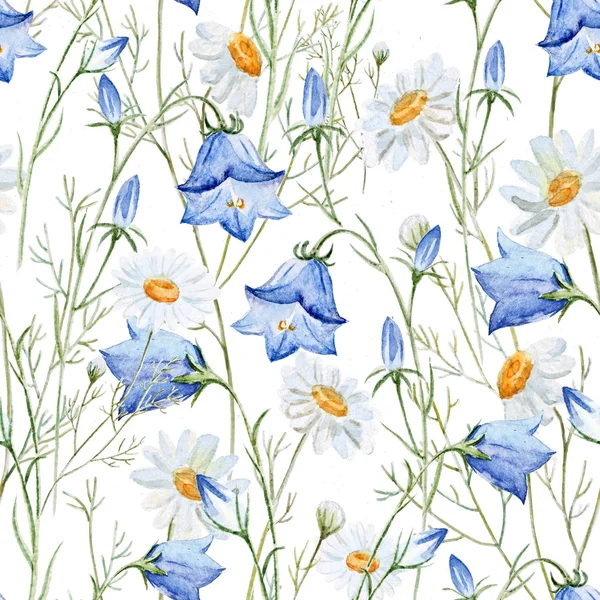 Watercolor chamomile, clover, bell, background