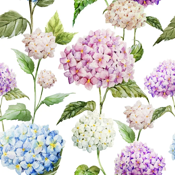 Hydrangea Watercolor flowers pattern — Stock Photo, Image