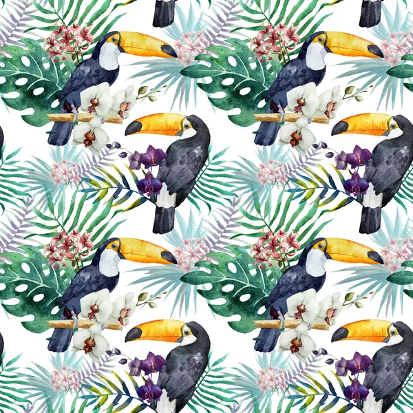 Watercolor  toucan  pattern — Stock Photo, Image
