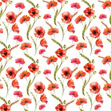 suluboya haşhaş çiçekleri