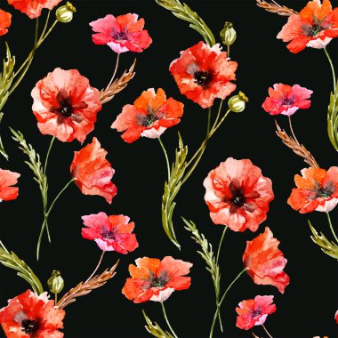 suluboya haşhaş çiçekleri