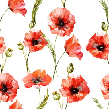 suluboya haşhaş çiçekleri