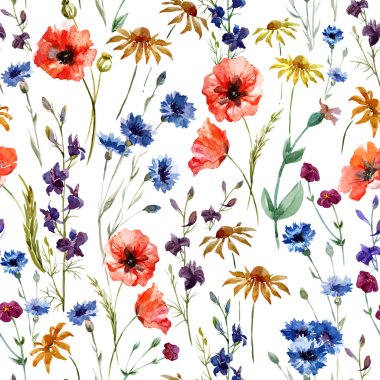 Watercolor poppy, cornflower, daisy wild flowers background clipart