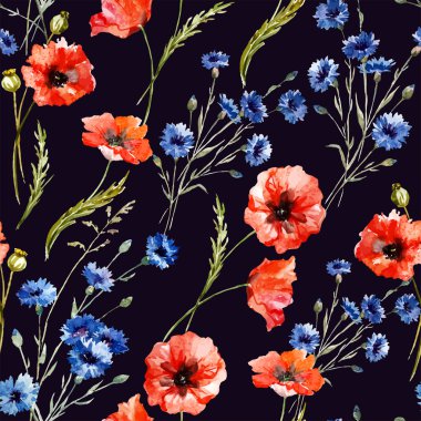 Suluboya haşhaş, Peygamber Çiçeği, papatya kır çiçekleri arka plan