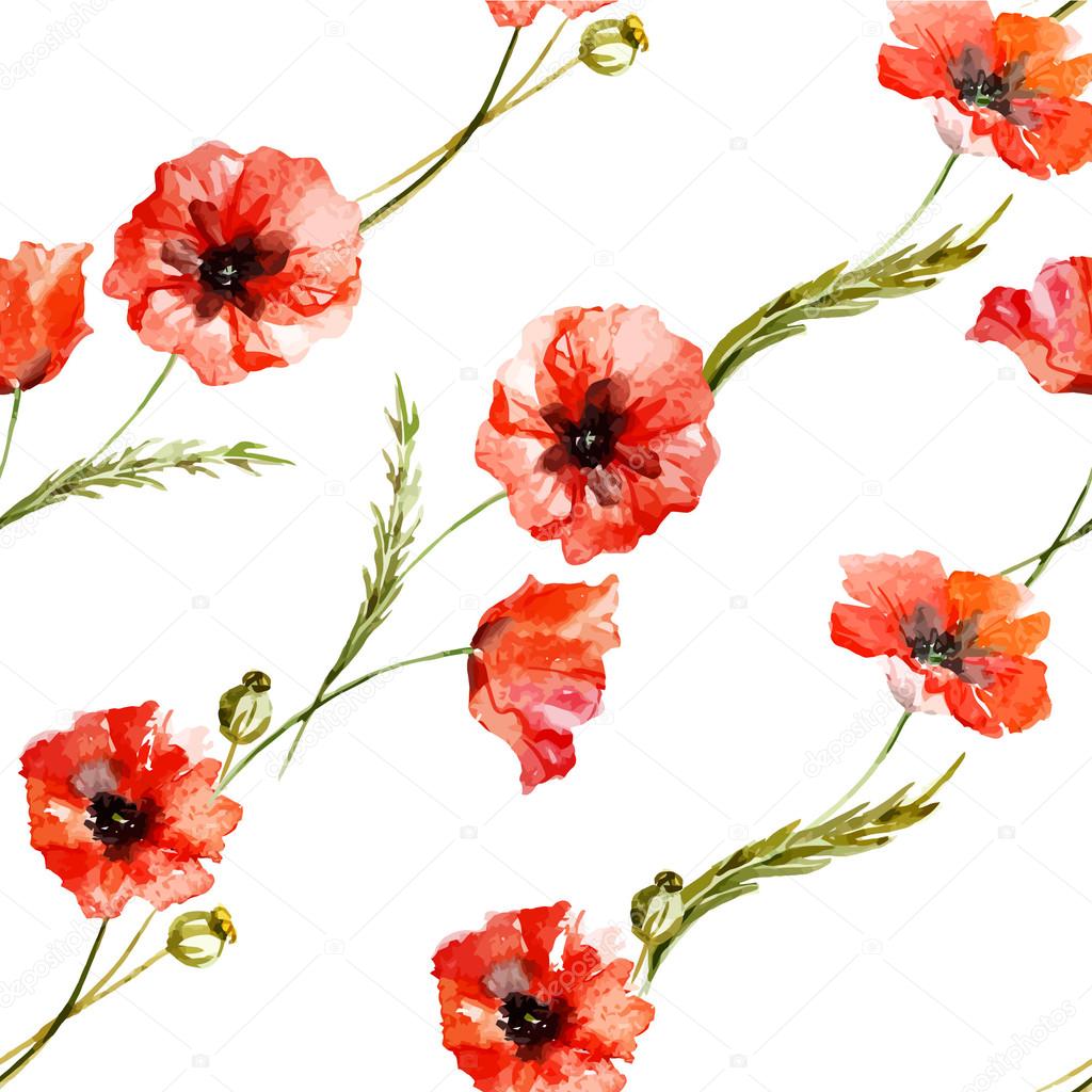 Watercolor poppy flowers