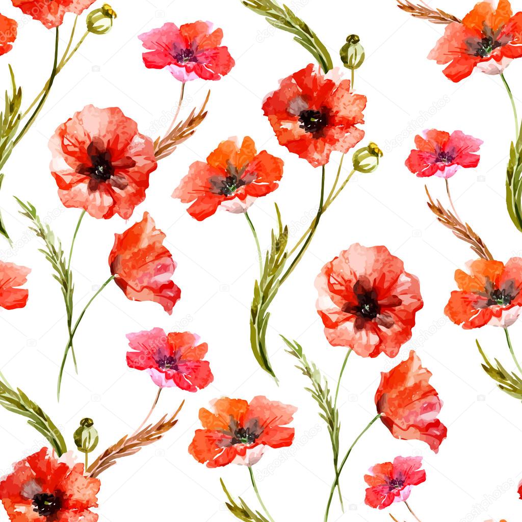 Watercolor poppy flowers