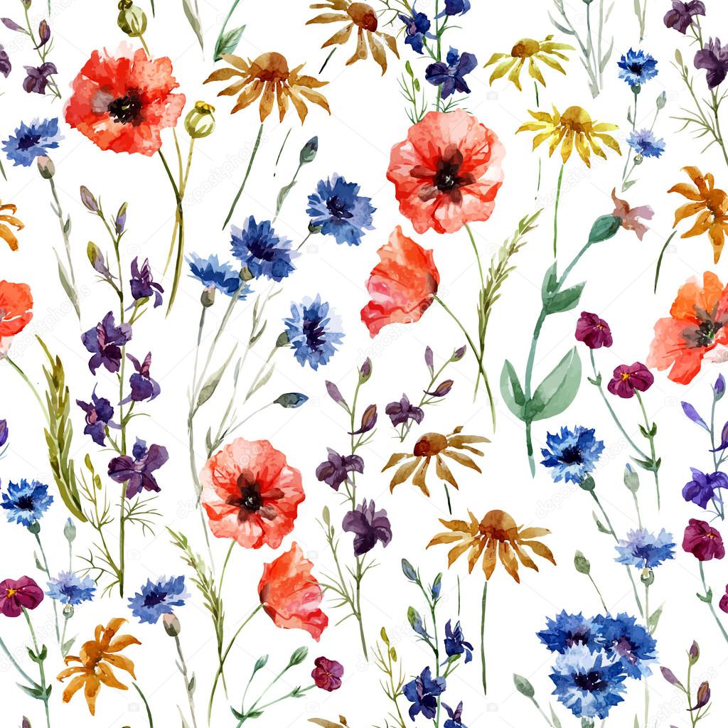 Download Watercolor poppy, cornflower, daisy wild flowers ...