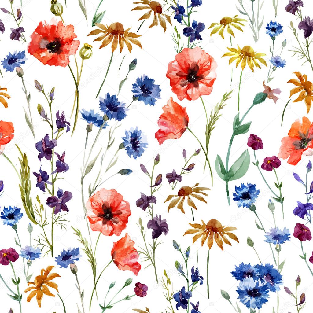 Watercolor poppy, cornflower, daisy wild flowers background