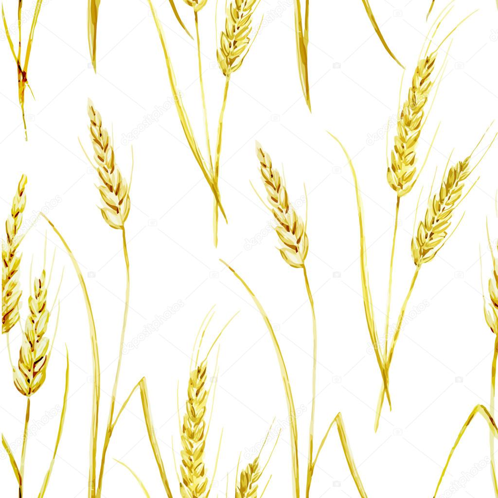 Watercolor pattern with wheat