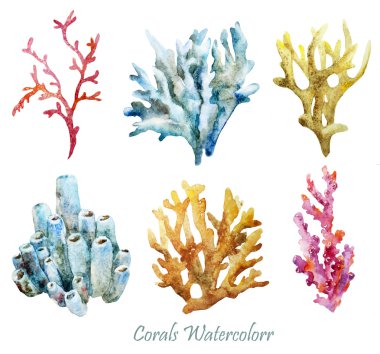 Watercolor corals set and ocean sponge clipart
