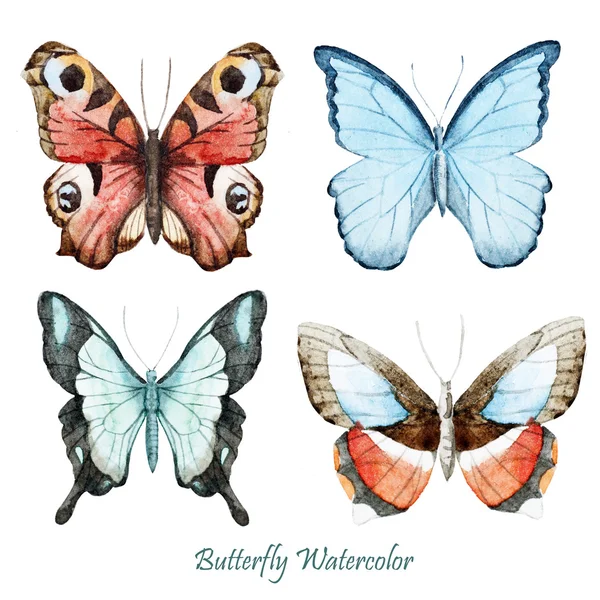 손-그린 수채화 나비 — 스톡 사진