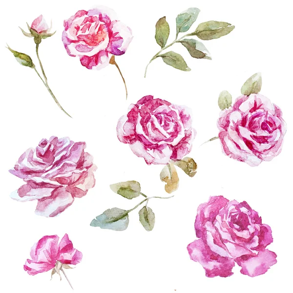 Vodové barvy růže vzorky pro tapety — Stock fotografie
