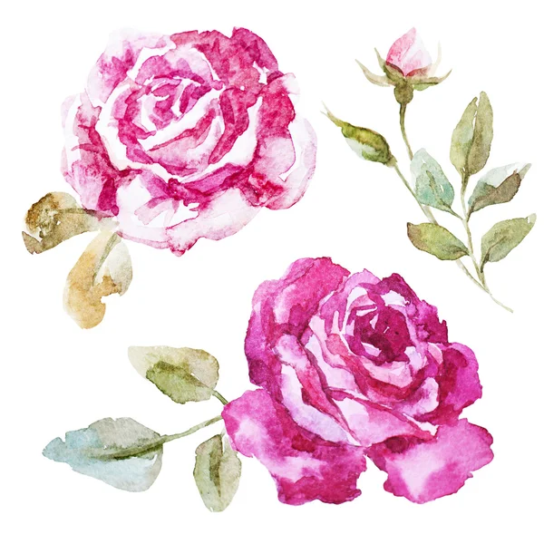 Aquarela rosa para papel de parede — Fotografia de Stock