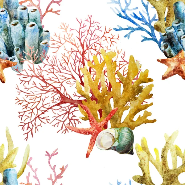 Suluboya mercan kümesi ve okyanus sünger