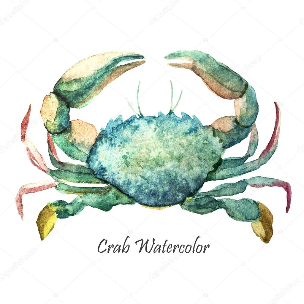 Watercolor ocean crab
