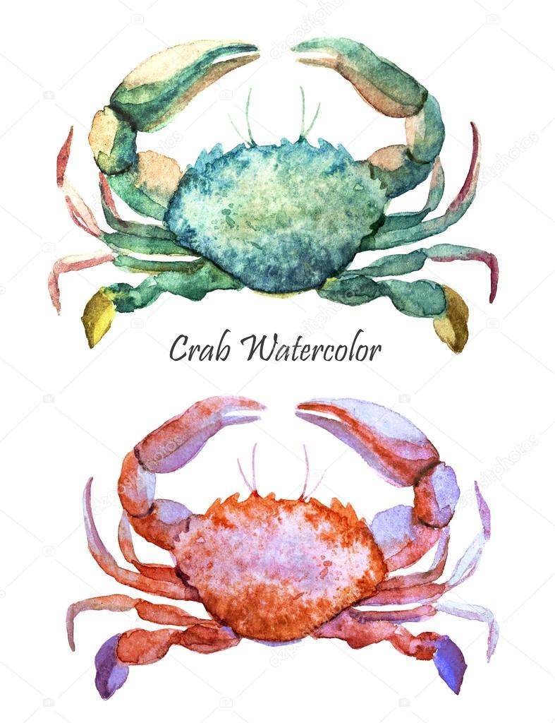 Watercolor ocean crabs