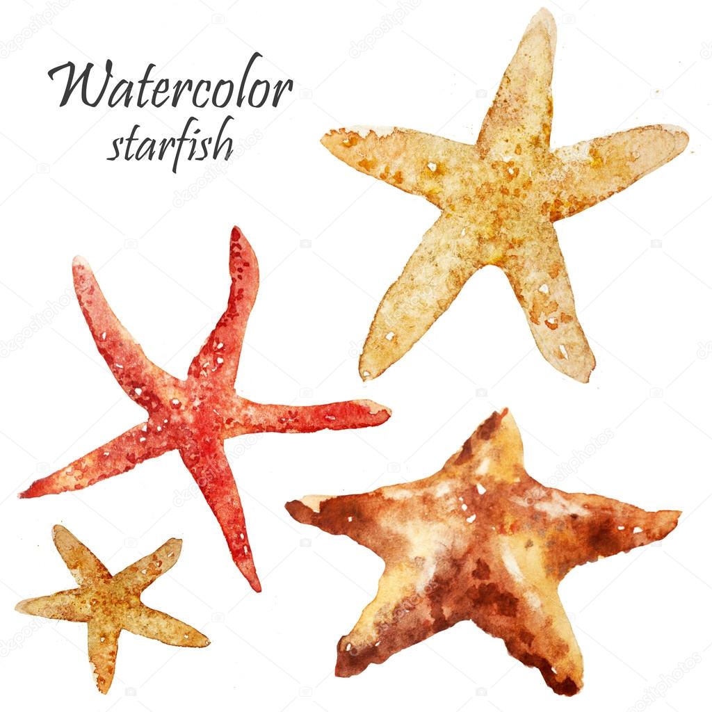 Watercolor starfish set