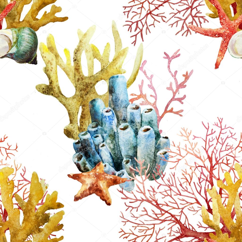 Watercolor corals set and ocean sponge