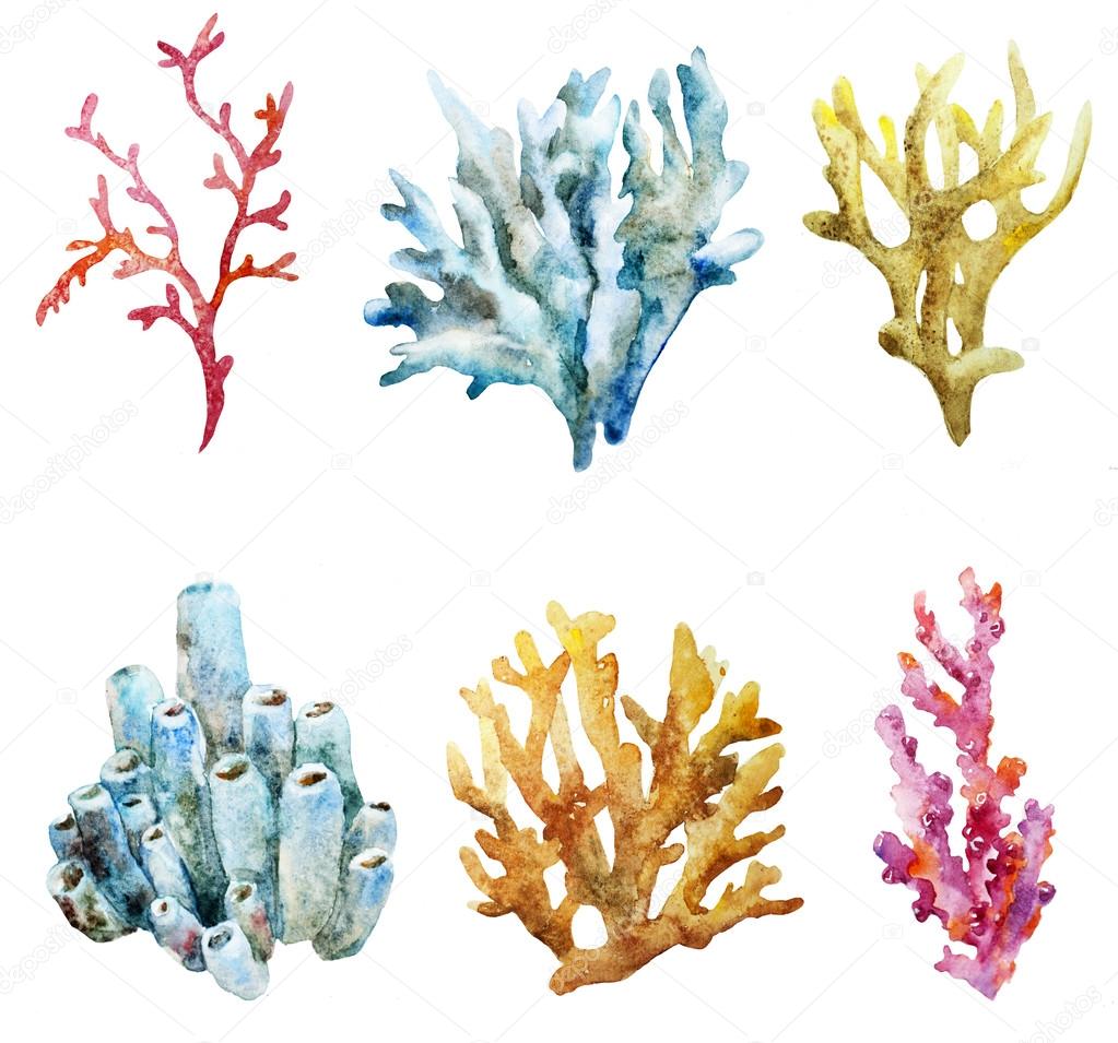 Ocean watercolor coral pattern
