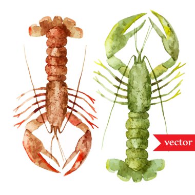 Suluboya okyanus ıstakoz desen