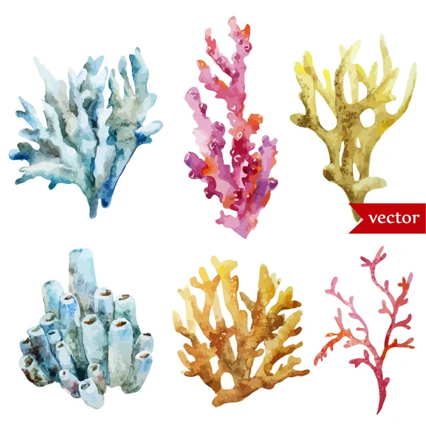 Akvarell koraller set och hav svamp — Stock vektor