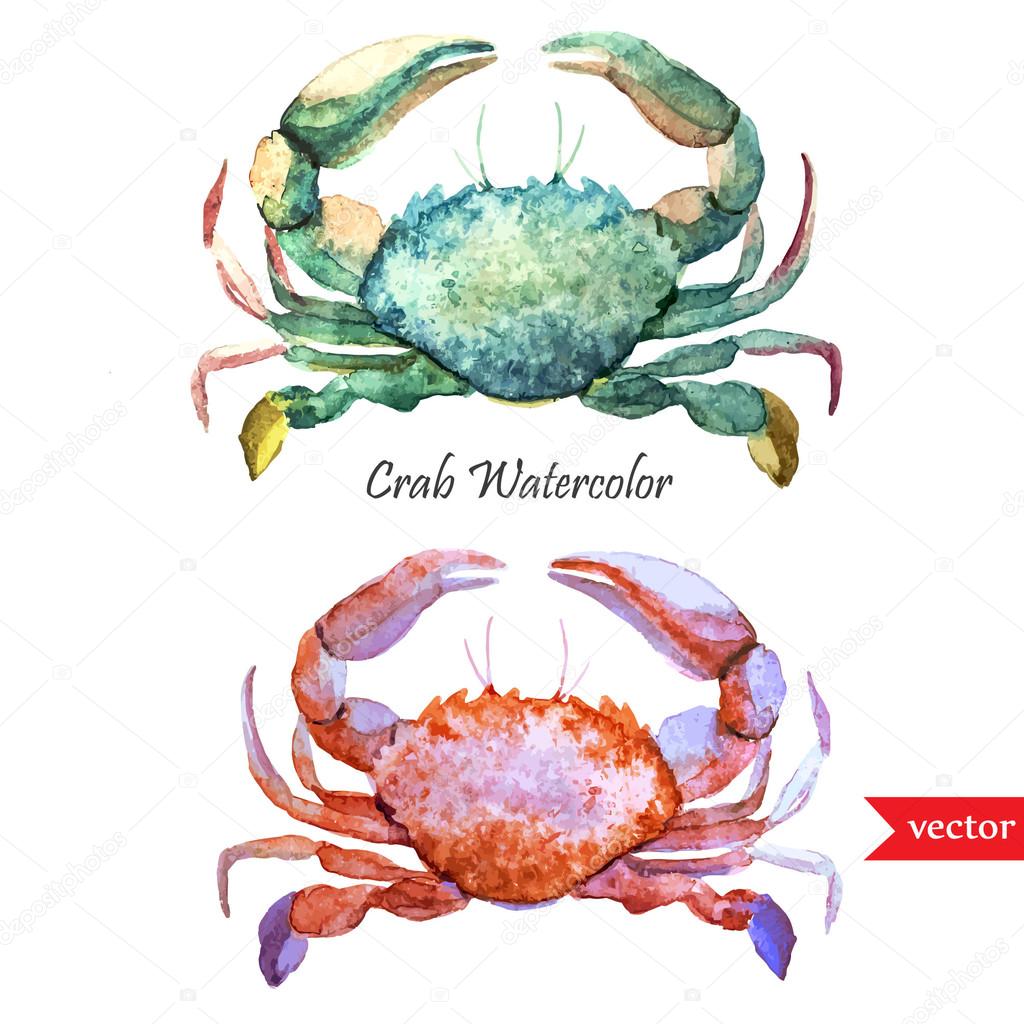 Watercolor ocean crabs