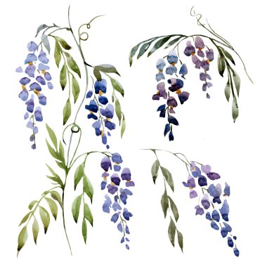 Watercolor wisteria texture clipart