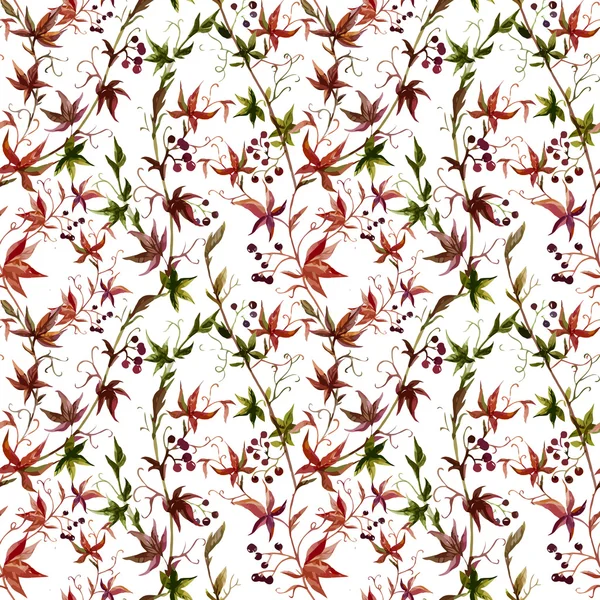 水彩のブドウの花のパターン — ストックベクタ
