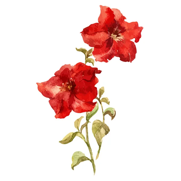 Aquarel rode bloemen — Stockvector